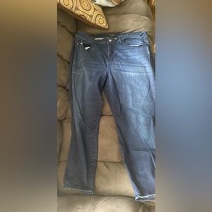 22W Skinny Judy Blue Jeans